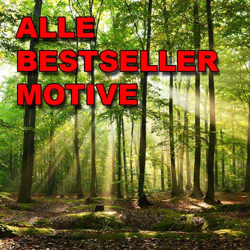 ALLE (unsortiert)