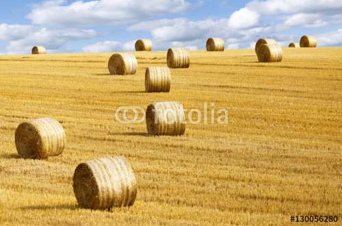 Poster Landschaften, Motiv: 130056280