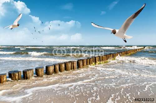 Poster Nordsee, Motiv: 42316212