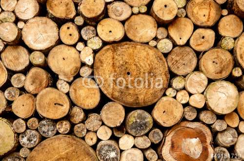 Poster Holz, Motiv: 49181729