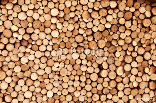 Poster Holz, Motiv: 58789271