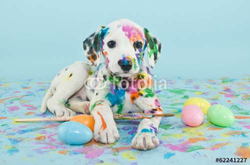 Poster Tiere, Motiv: 62241227