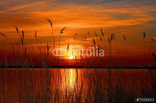 Poster Sonnenuntergang, Motiv: 7509903